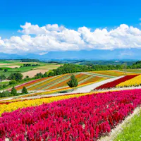 Shikisai no Oka Shikisai no Oka