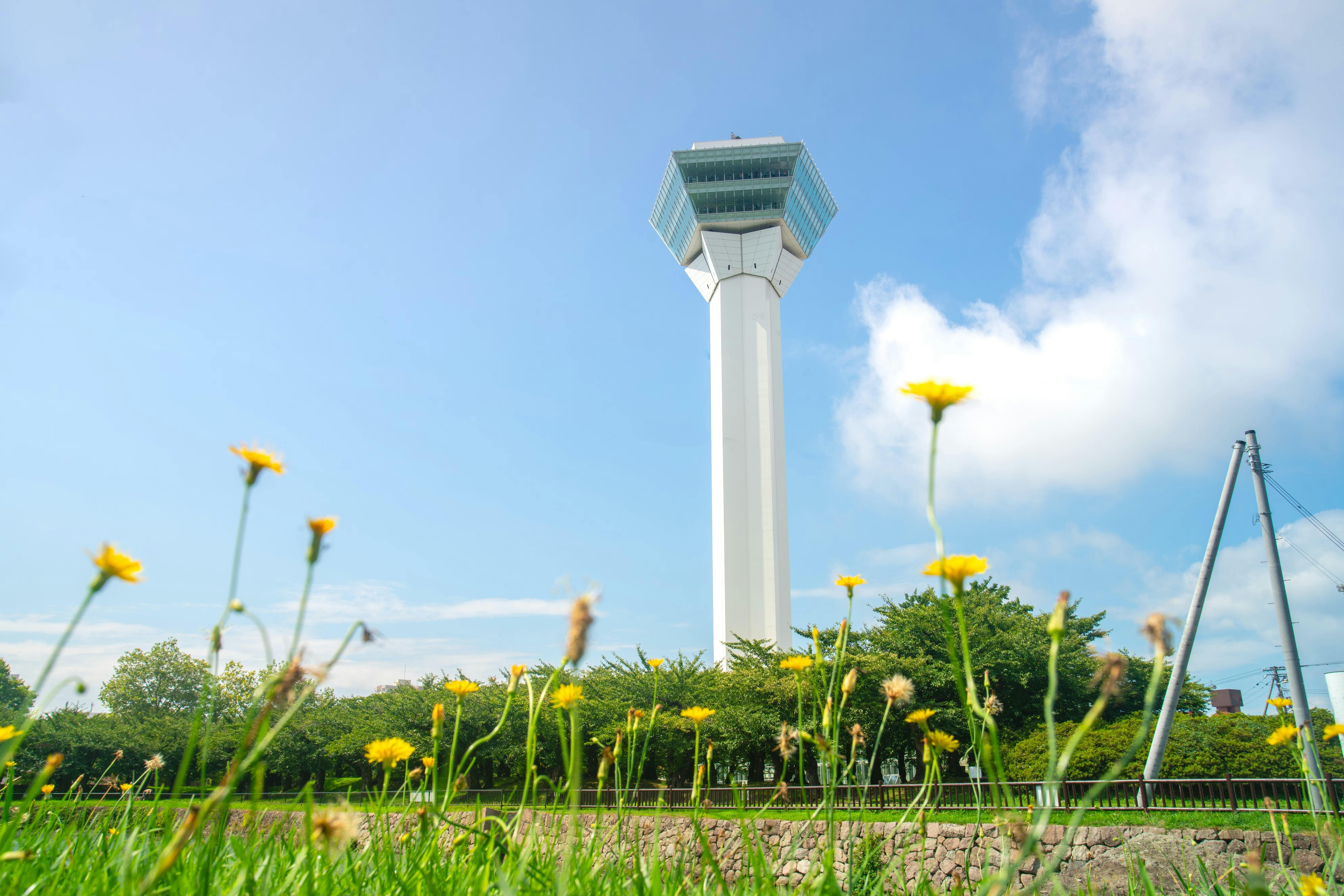 A tall white observation tower rises above green grass and yellow wildflowers, with trees and a blue sky with scattered clouds in the background.