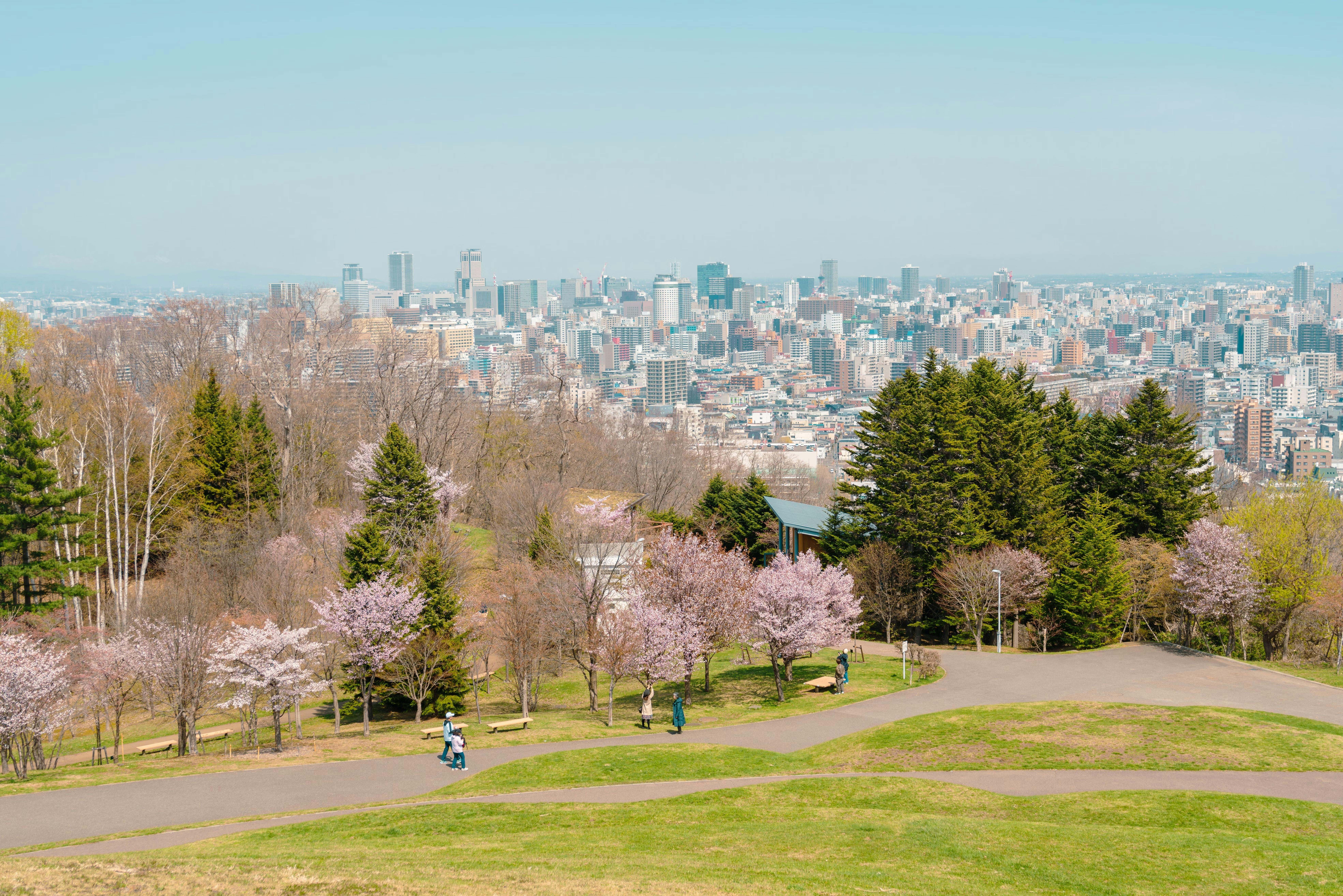 A cityscape view with cherry blossom trees, green grass, and walking paths in the foreground. A few people stroll among the trees, with a distant city skyline and blue sky in the background.