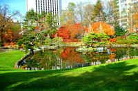 Nakajima Park