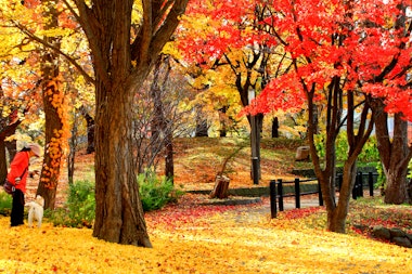 Nakajima Park