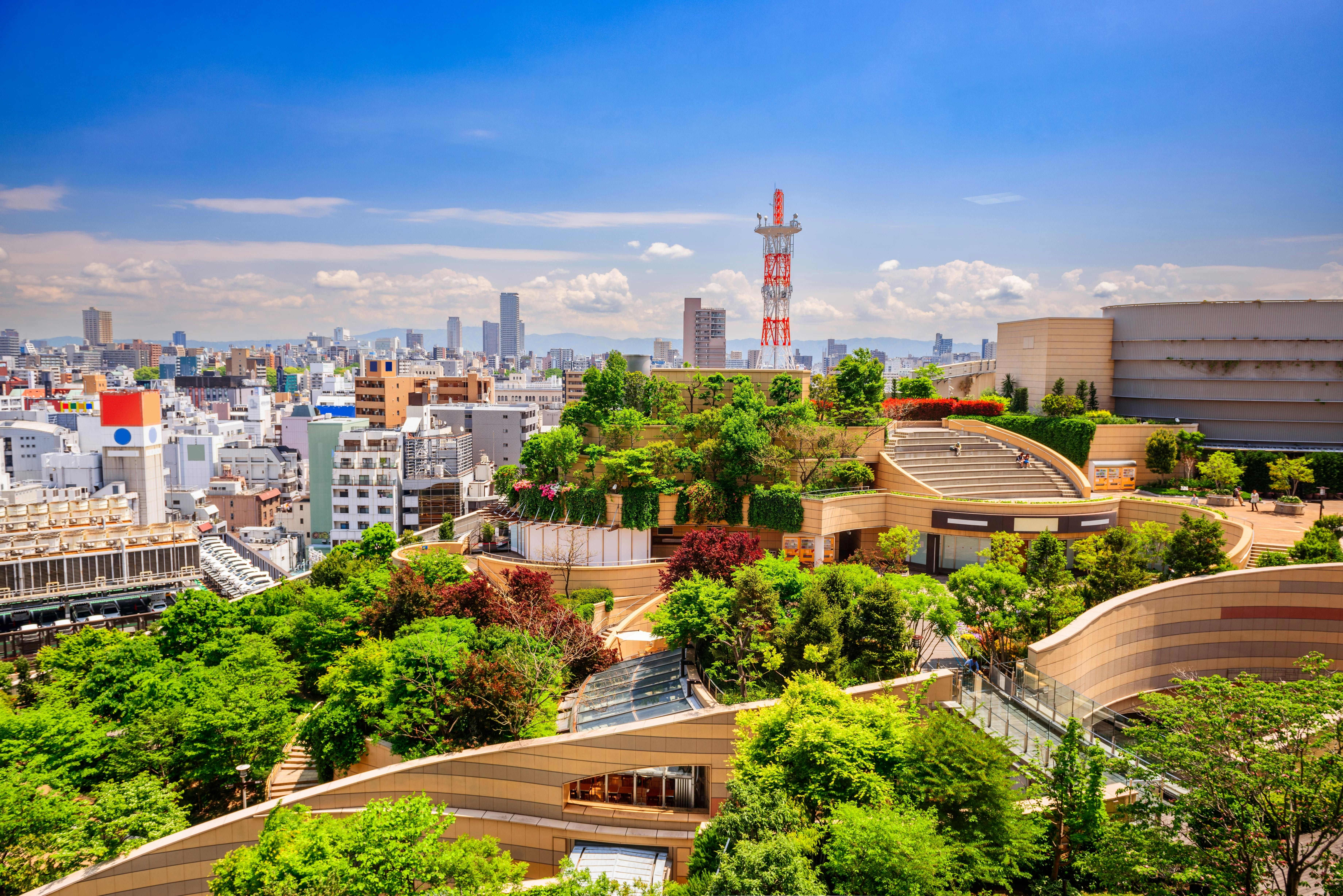 A vibrant rooftop garden with lush greenery and winding paths atop a modern building in an urban area, surrounded by city buildings and a red-and-white communications tower under a blue sky.