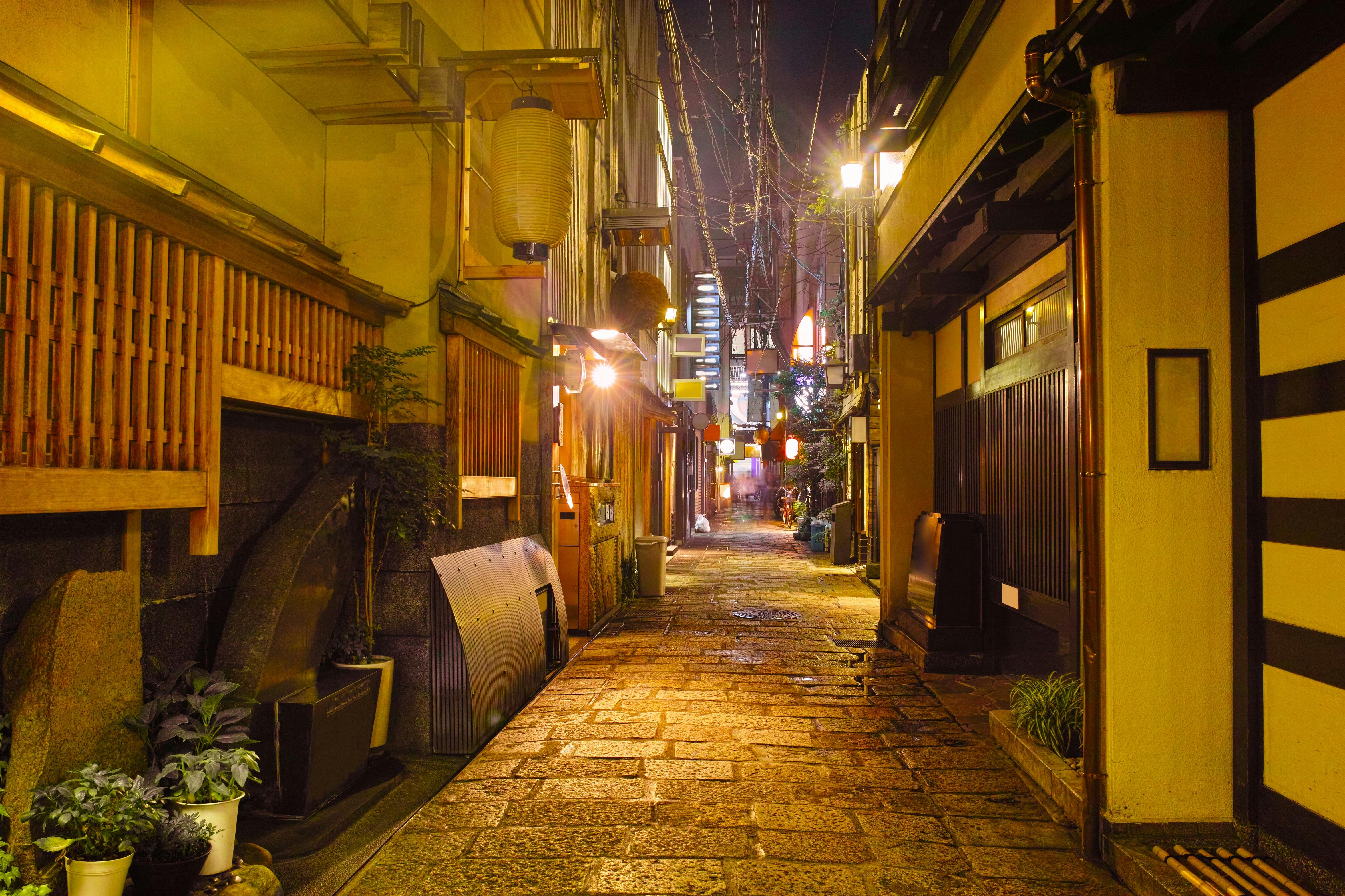A narrow, stone-paved alley at night is lit by warm lanterns, lined with traditional wooden Japanese buildings and potted plants, creating a cozy and inviting atmosphere.