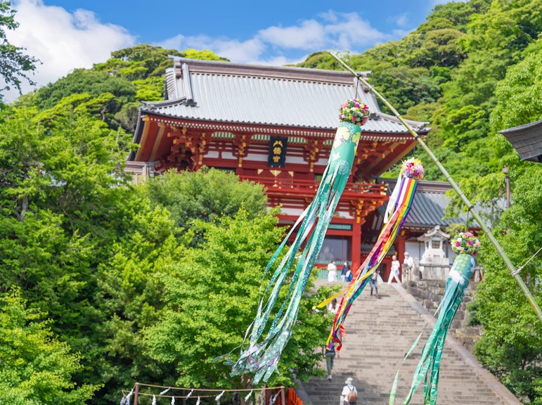 Kamakura Tour with Pro Photographer: Great Buddha & Hase Temple