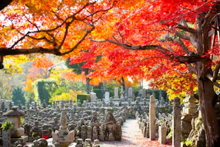 Vibrant red and orange autumn leaves hang over a serene Japanese stone garden, filled with stone lanterns and statues, creating a peaceful and colorful scene.