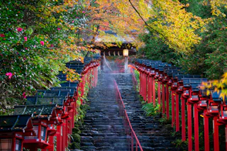 Stone steps lined with red lanterns lead through lush greenery and autumn foliage to a traditional Japanese shrine, with soft light and mist creating a serene, peaceful atmosphere.
