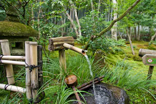 Bamboo water fountain in a lush Japanese garden, with green moss, tall trees, and a stone lantern nearby; water flows from the bamboo spout into a stone basin with a wooden ladle.