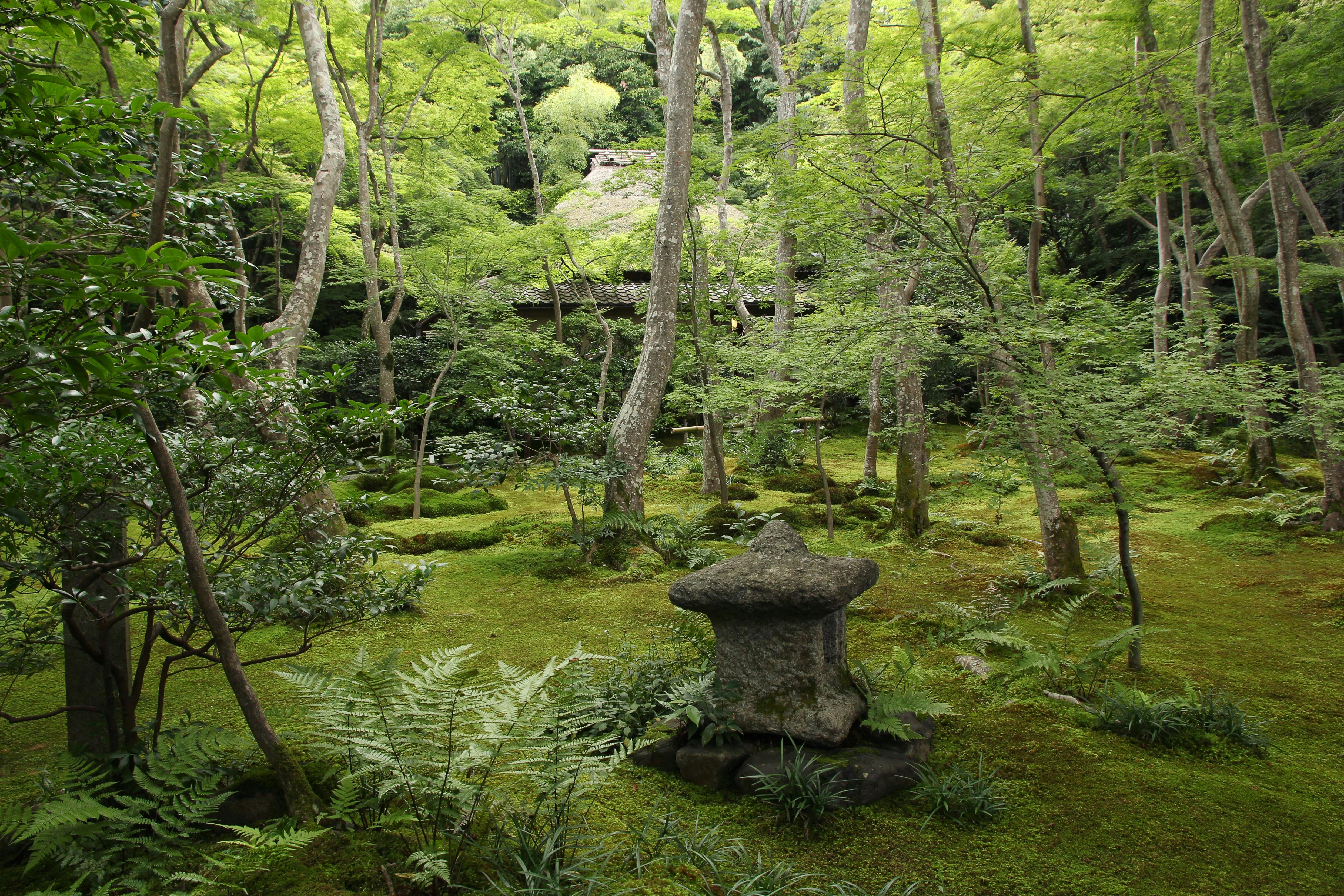 A lush, green Japanese garden with tall trees, ferns, moss-covered ground, and a traditional stone lantern in the foreground. A wooden structure is partially visible in the background among the foliage.