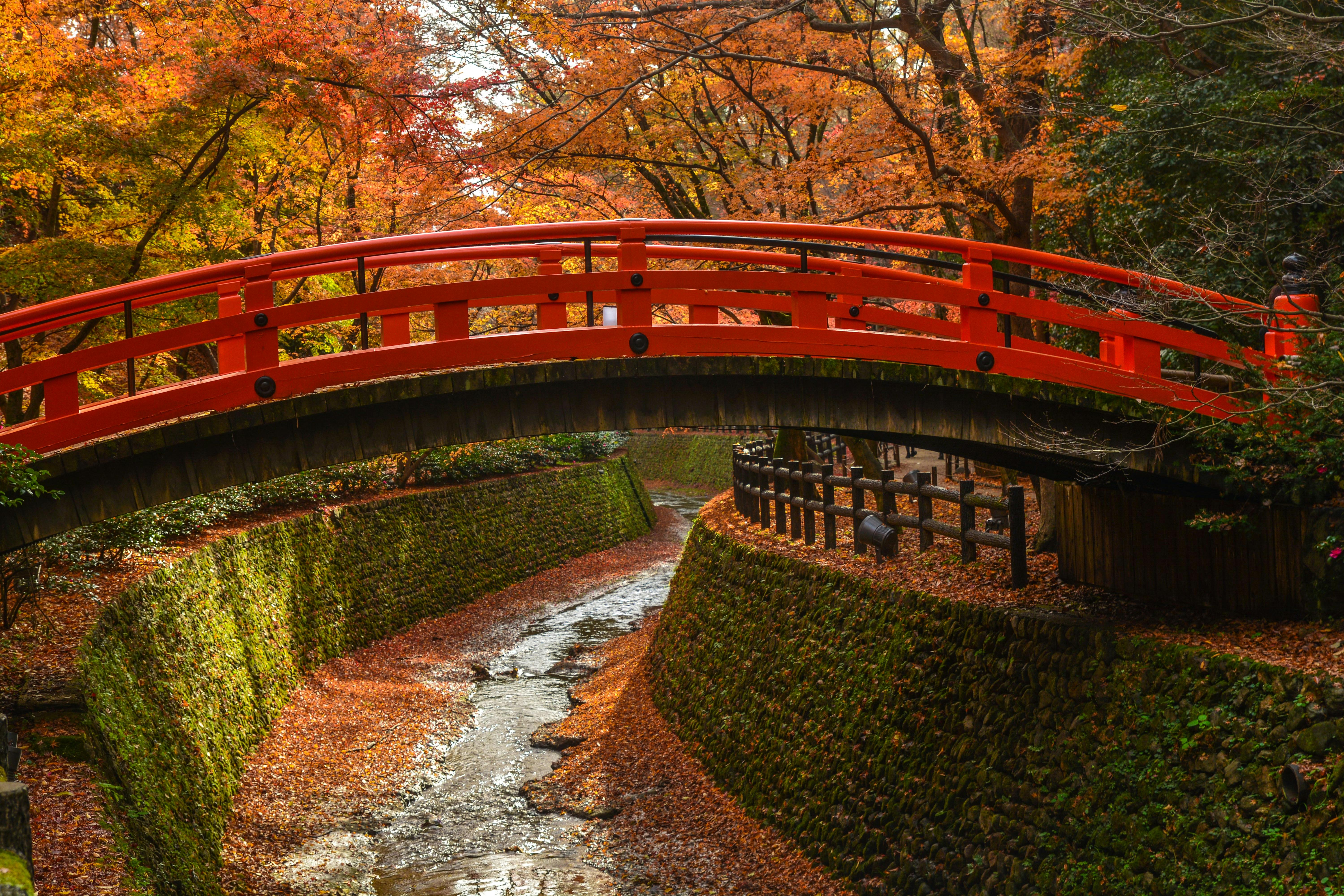 A red arched bridge spans over a narrow, leaf-covered stream, surrounded by trees with vibrant autumn foliage in shades of orange and yellow. Moss-covered stone walls line the creek.