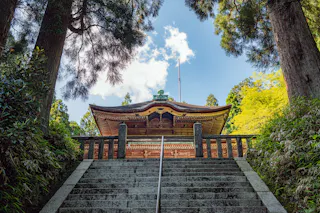 Stone steps lead up to a traditional Japanese temple surrounded by tall trees and greenery, with a bright blue sky and clouds above the building’s ornate roof.