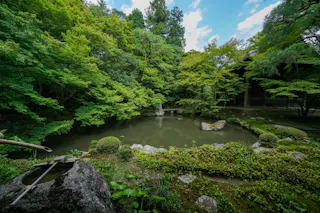 A tranquil Japanese garden with a small pond surrounded by lush green trees and bushes, rocks, and a traditional bamboo water spout in the foreground under a partly cloudy sky.