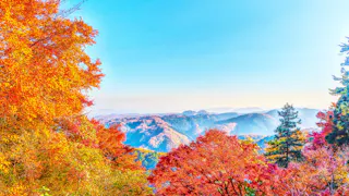 Bright autumn foliage in vivid red, orange, and yellow shades frames a scenic mountain landscape under a clear blue sky, with rolling hills and distant peaks visible in the background.