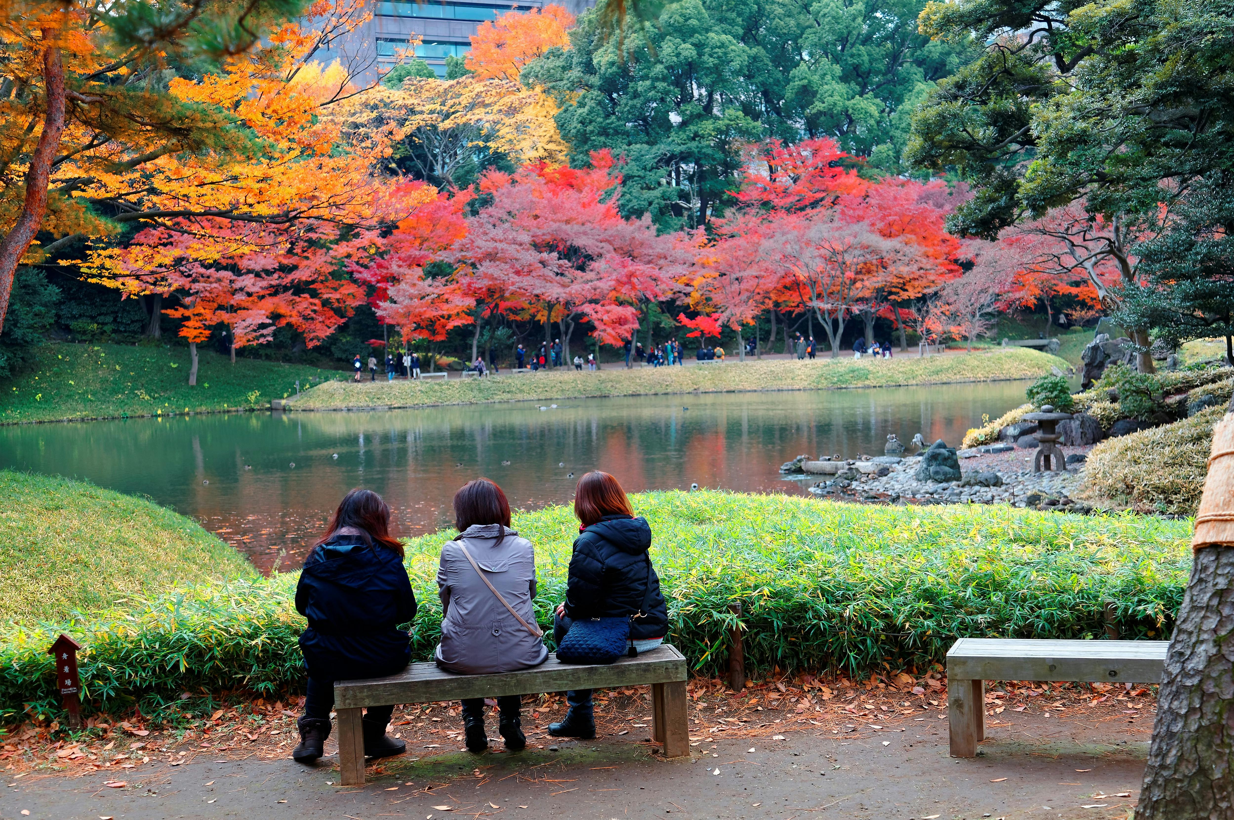 Three people sit on benches by a pond in a park, facing vibrant autumn trees with red and orange foliage, surrounded by greenery and a tranquil landscape.