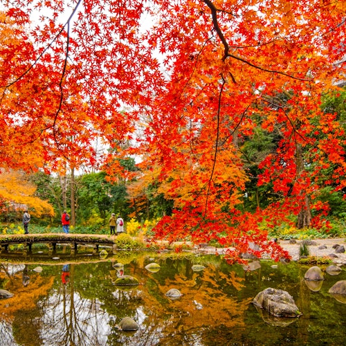 Koishikawa Korakuen Garden Koishikawa Korakuen Garden