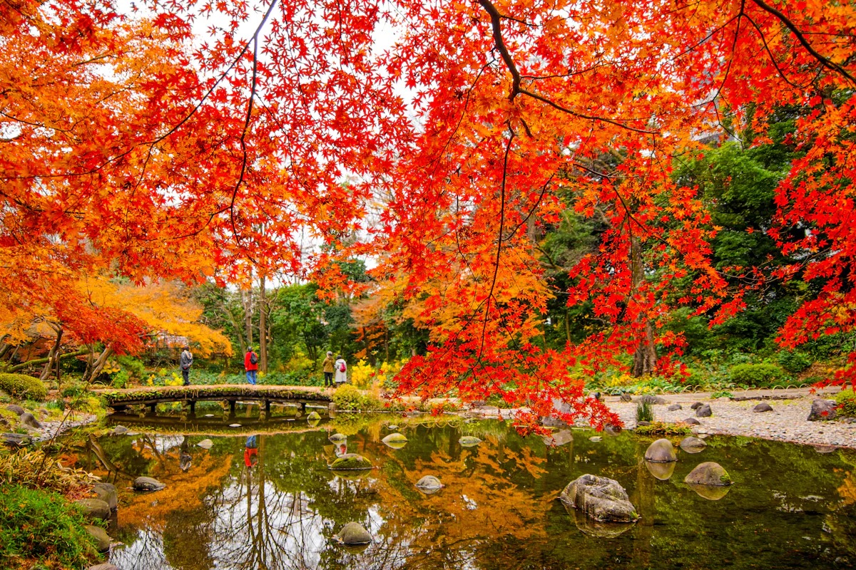 Koishikawa Korakuen Garden Koishikawa Korakuen Garden