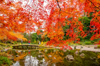 Koishikawa Korakuen Garden