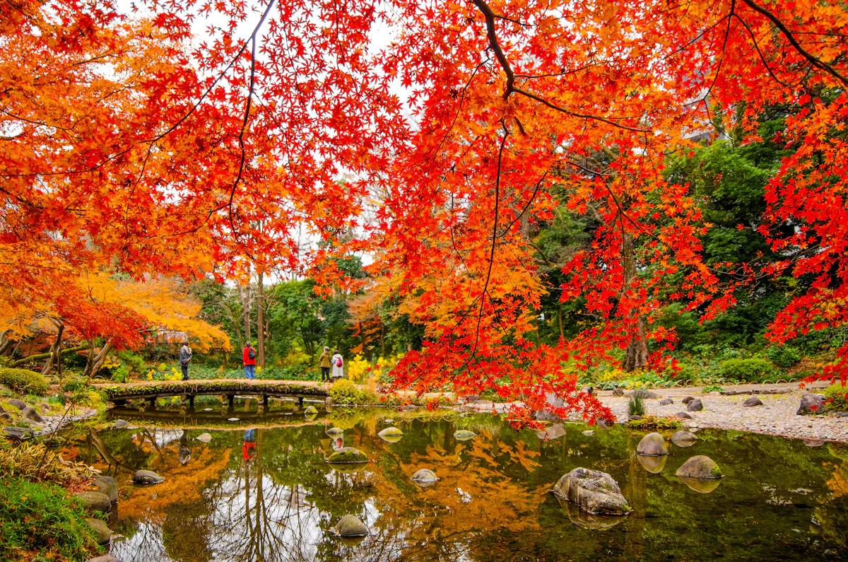 Koishikawa Korakuen Garden