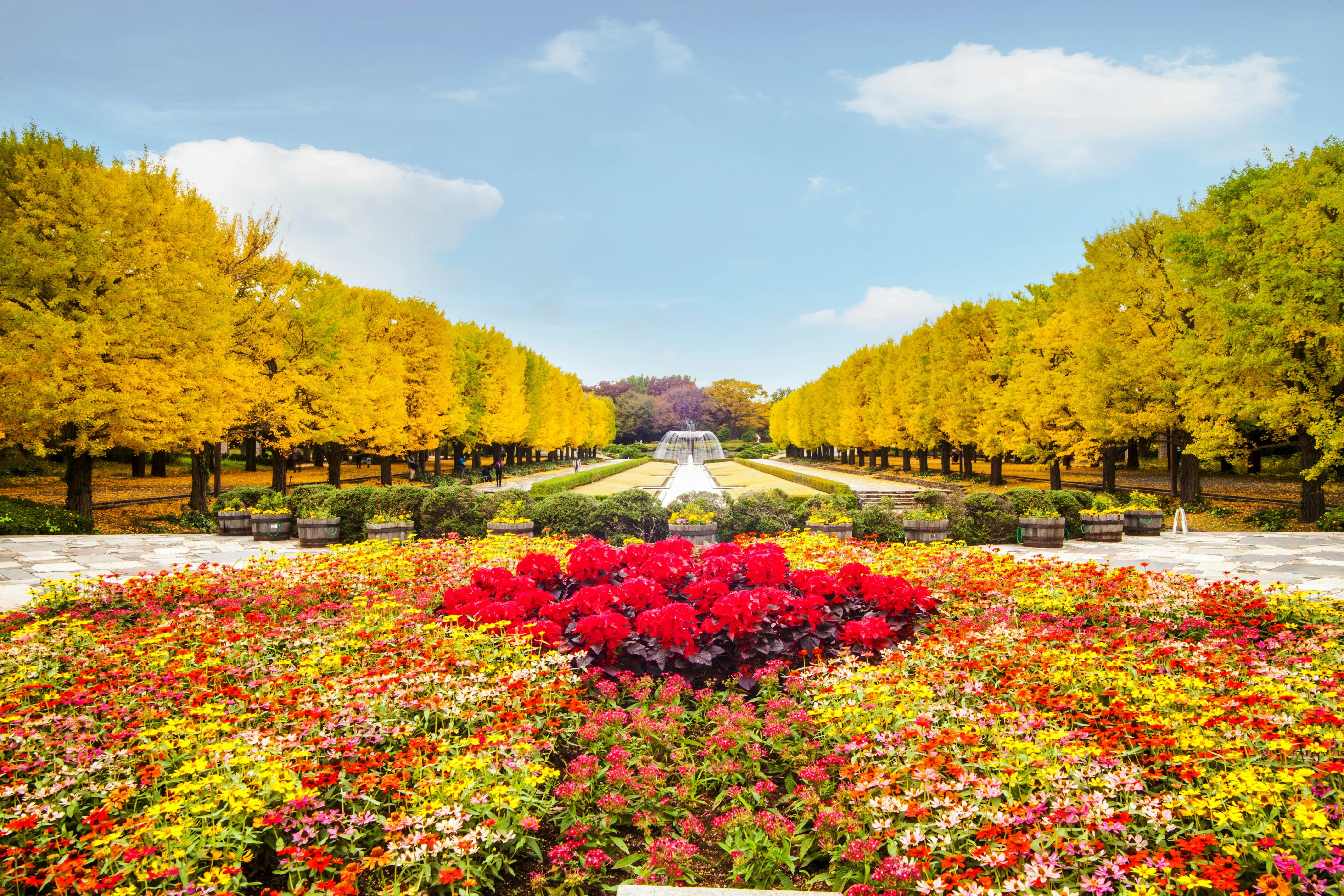 A vibrant garden with a circular bed of red and yellow flowers in the foreground, a long pathway lined with yellow-leaved trees, and a fountain at the center, all under a bright blue sky.