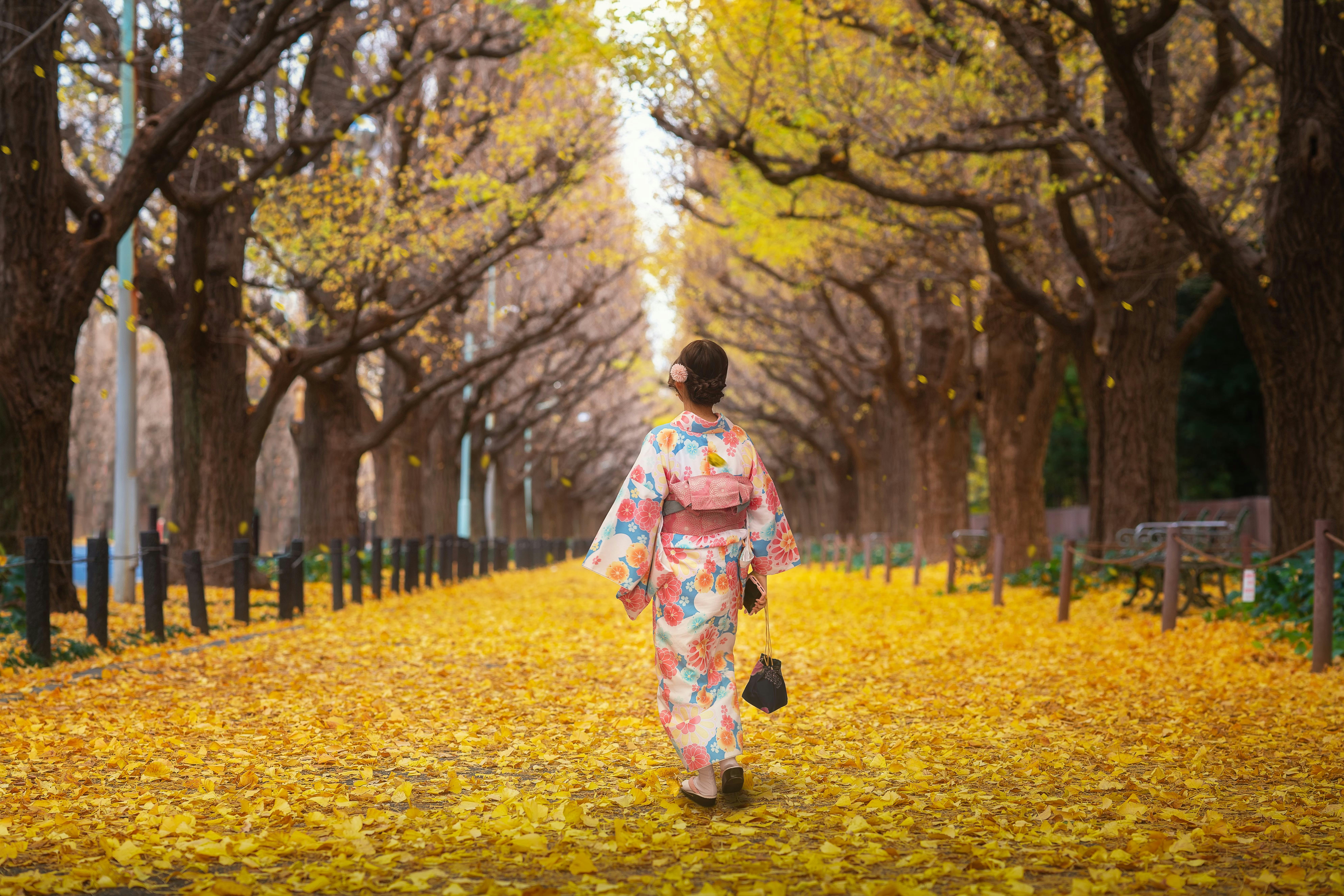 A person in a floral kimono walks down a tree-lined path covered with yellow autumn leaves, surrounded by tall trees with golden foliage.
