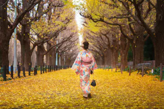 A person in a floral kimono walks down a tree-lined path covered with yellow autumn leaves, surrounded by tall trees with golden foliage.