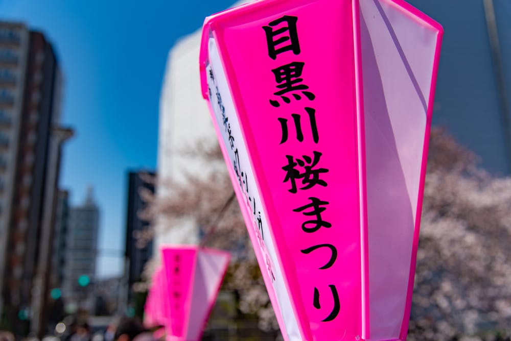 Bright pink lanterns with Japanese writing hang outdoors during daytime, with tall buildings and cherry blossom trees blurred in the background. The sky is clear and blue. The text on the lantern reads "Meguro River Sakura Festival.