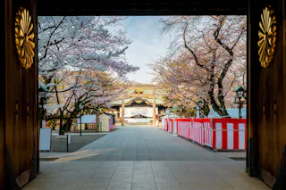Yasukuni Shrine