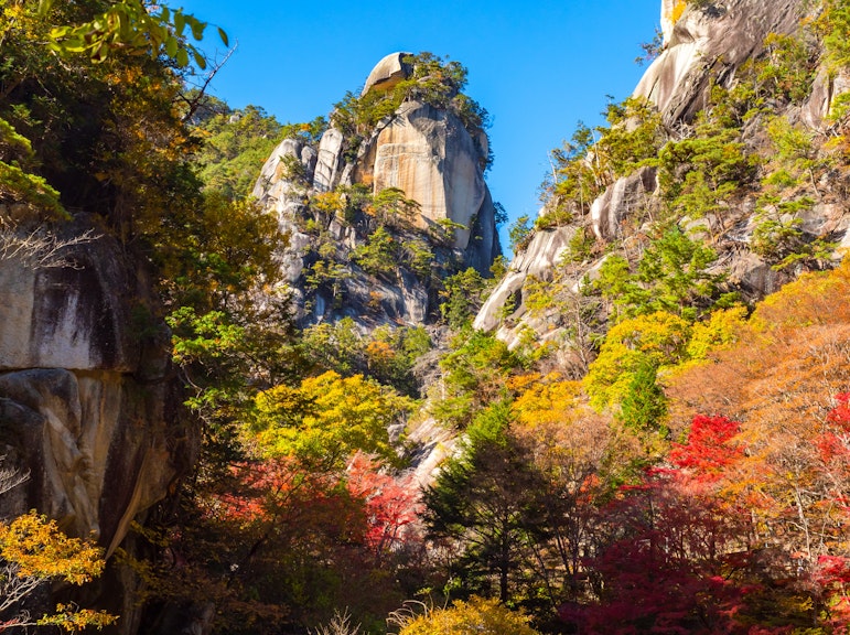 풀데이 고후 어드벤처 투어