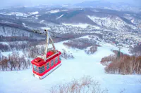 A red cable car travels up a snowy mountain with leafless trees, overlooking a town and forested hills covered in snow under a cloudy sky.