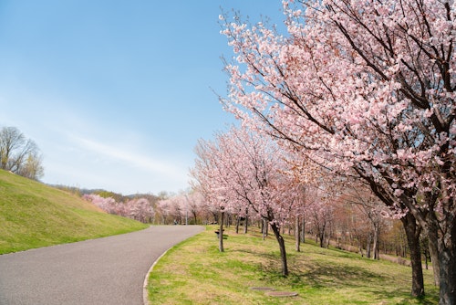 Asahiyama Park