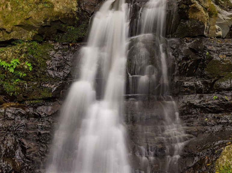 오사카 이즈미사노에서 이누나키산 트레킹 및 폭포 수련