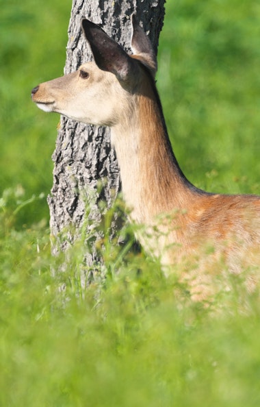 Furepe Waterfall Tour Furepe Waterfall Tour