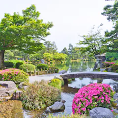 Kenrokuen Garden A tranquil Japanese garden with a curved stone bridge over a stream, blooming pink flowers, lush green trees, rocks, and a calm pond in the background under a clear sky.