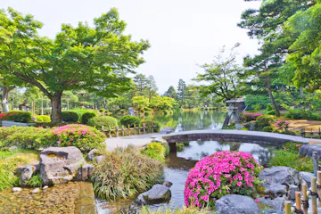 Kenrokuen Garden A tranquil Japanese garden with a curved stone bridge over a stream, blooming pink flowers, lush green trees, rocks, and a calm pond in the background under a clear sky.