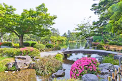 A tranquil Japanese garden with a curved stone bridge over a stream, blooming pink flowers, lush green trees, rocks, and a calm pond in the background under a clear sky.