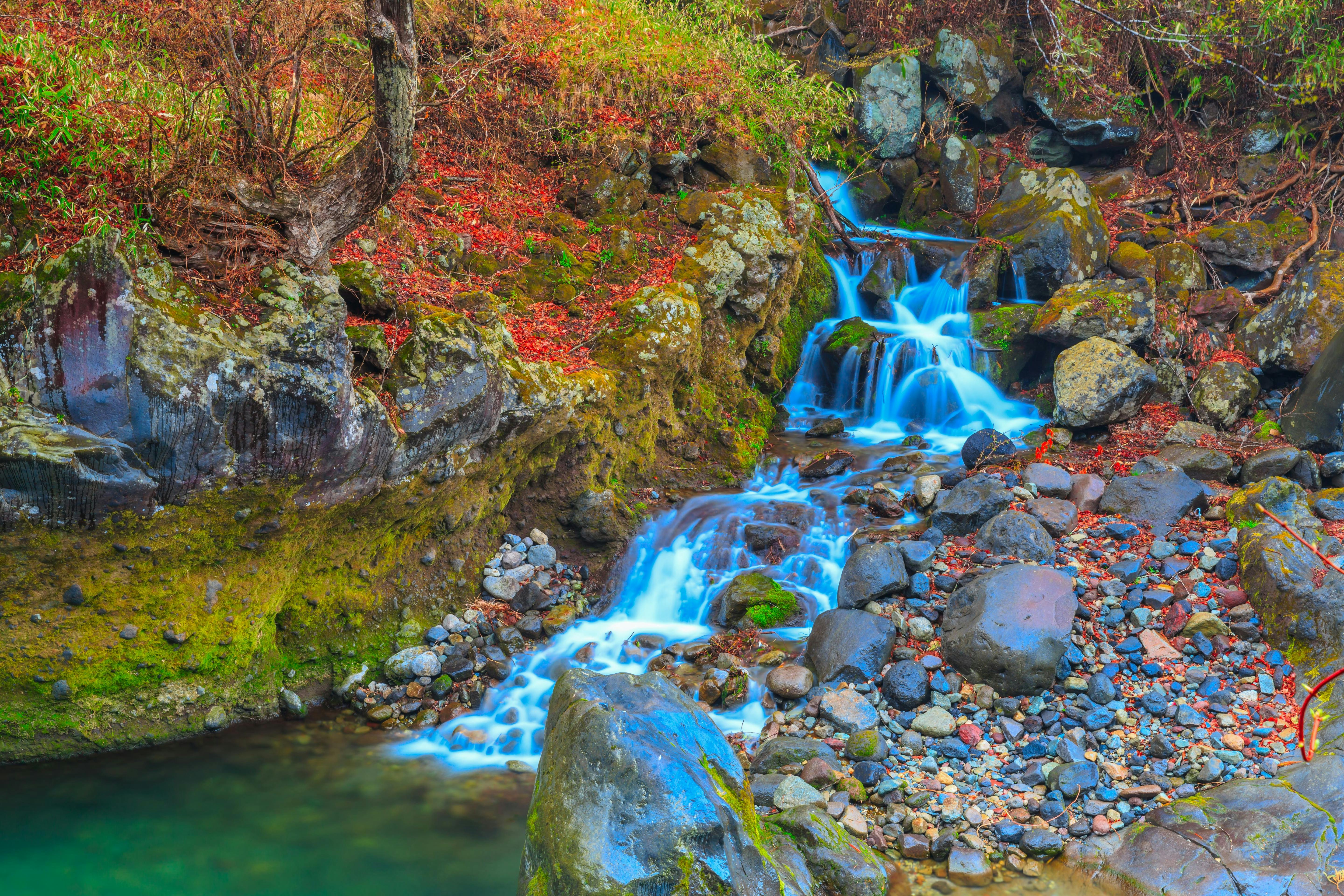 A small, vibrant waterfall flows over mossy rocks into a clear pool, surrounded by fallen autumn leaves and stones in a forest setting.