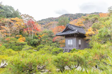 A traditional Japanese wooden building is surrounded by lush greenery and colorful autumn trees, set against a backdrop of forested hills under a cloudy sky.