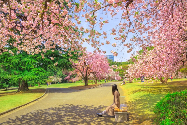 Shinjuku Gyoen National Garden