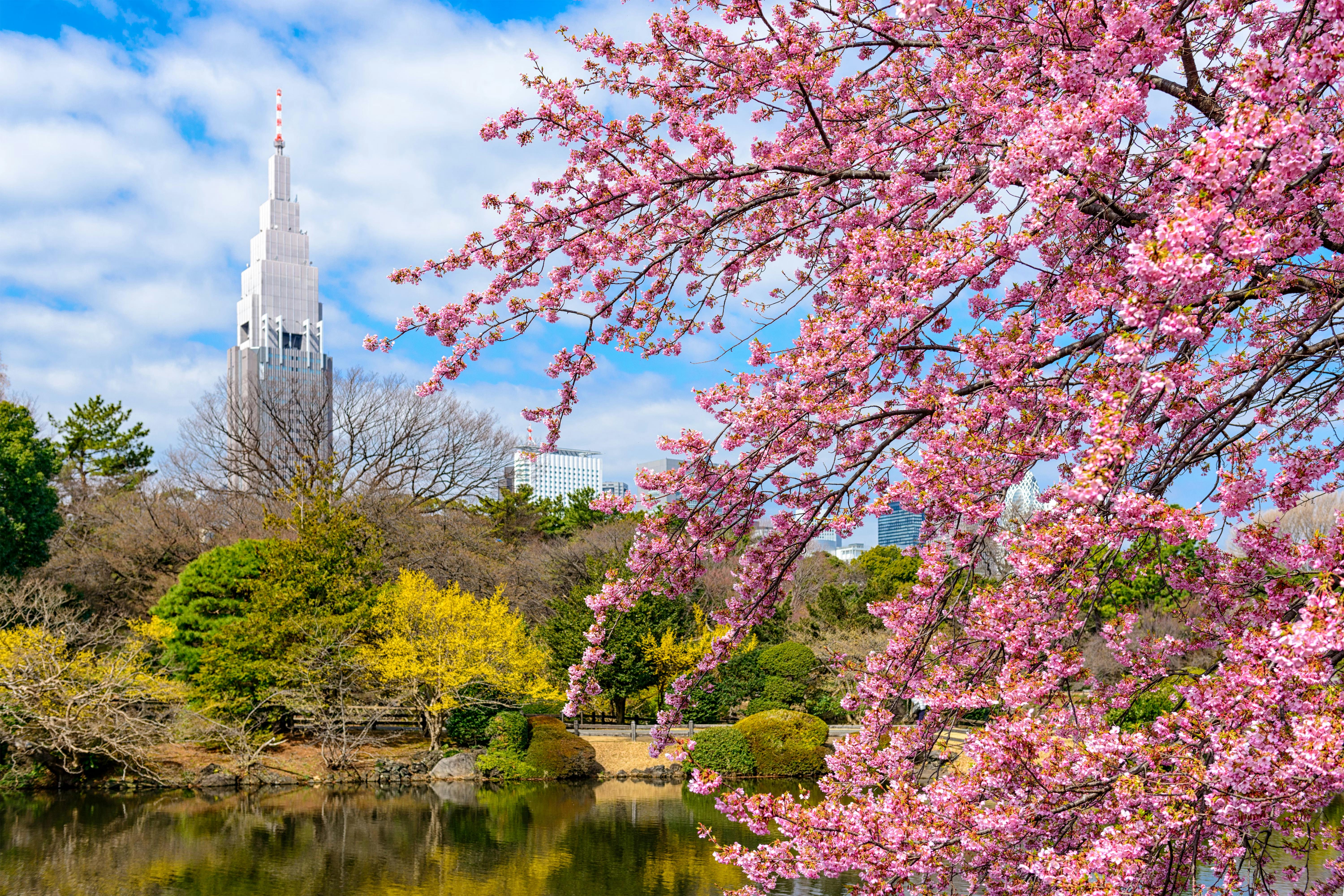 Shinjuku Gyoen National Garden