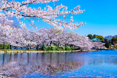 Ueno Park
