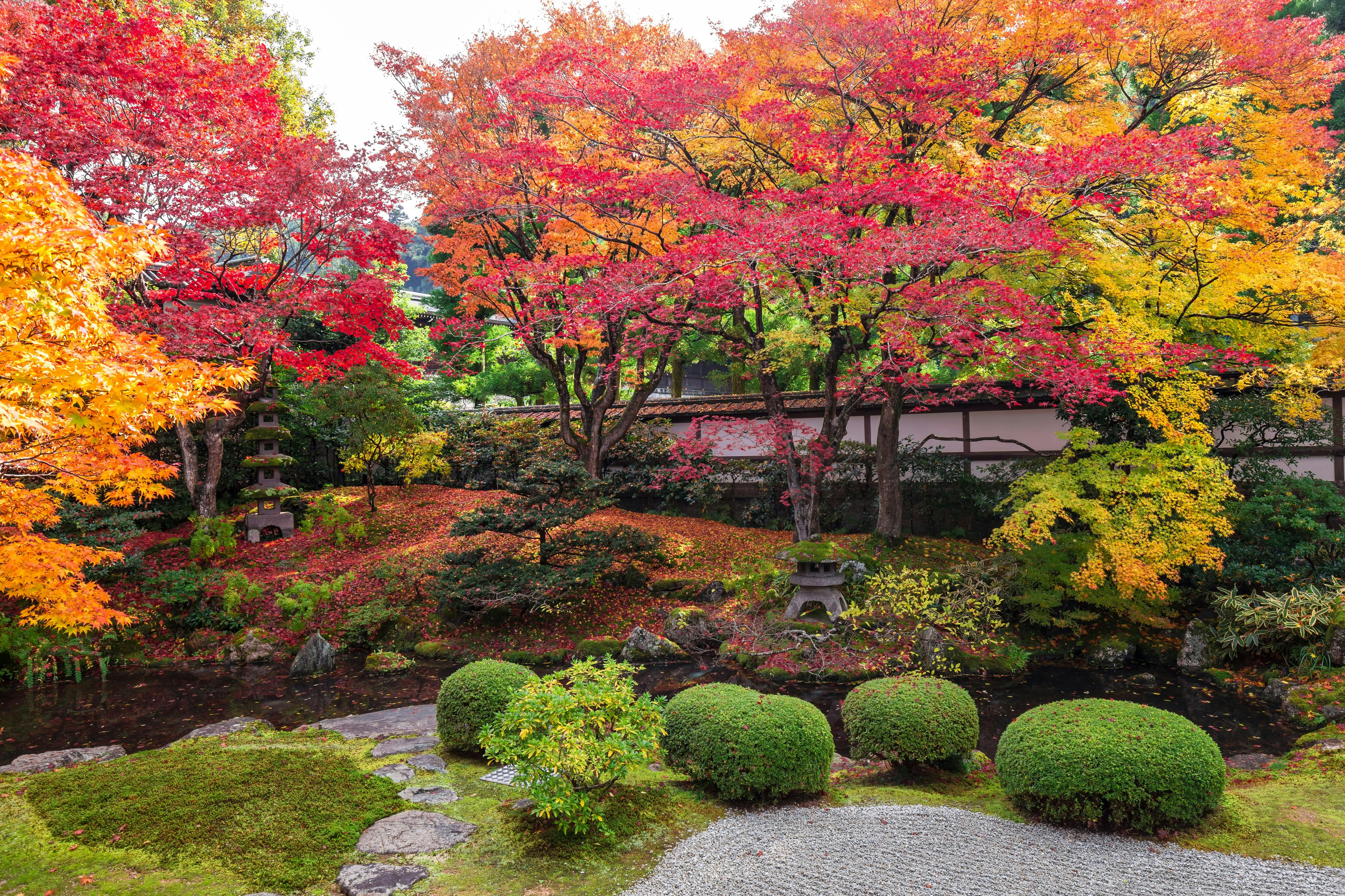 Sennyu-ji Temple
