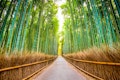 Arashiyama Bamboo Grove