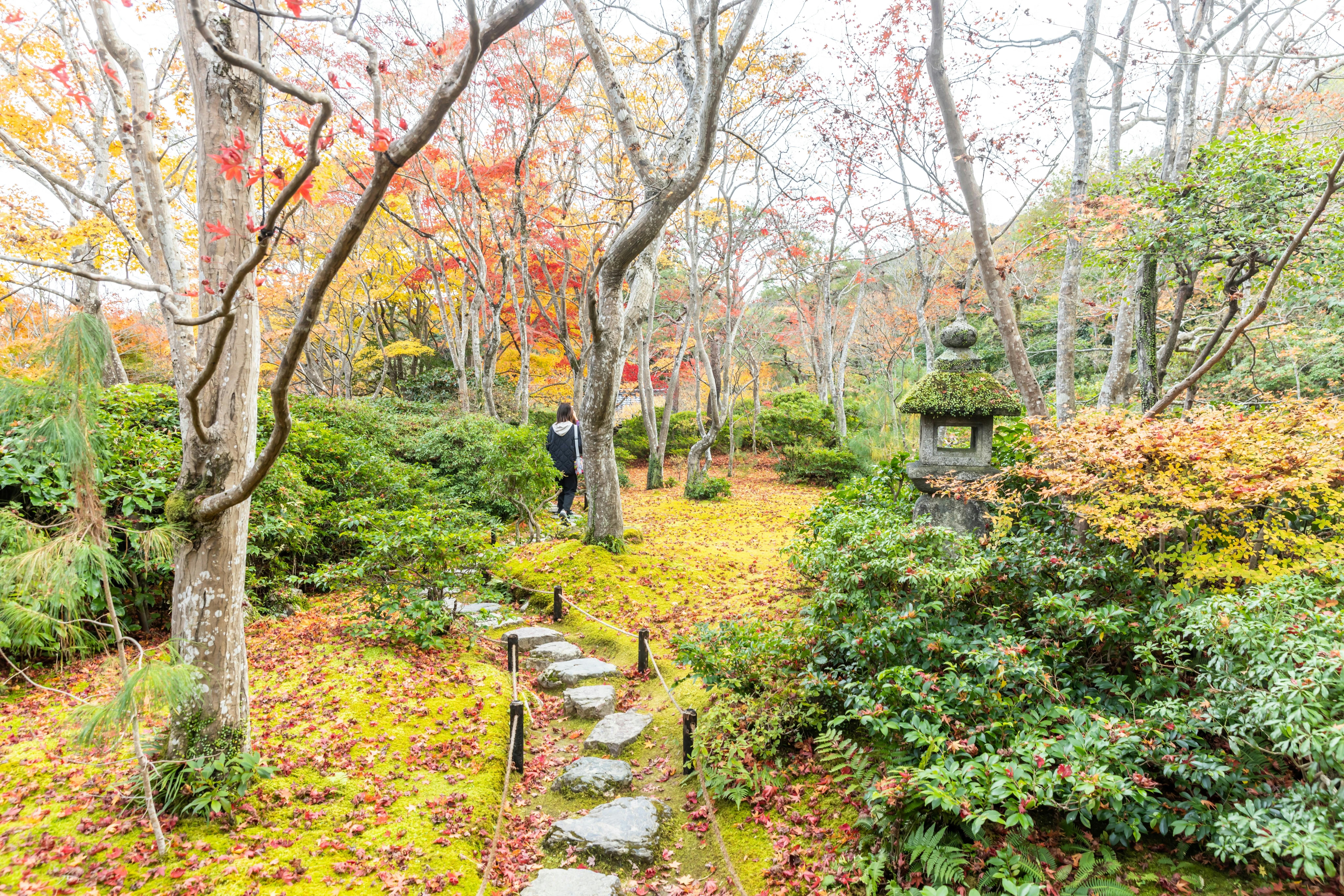 A person walks along a stone path through a lush Japanese garden with autumn foliage, mossy ground, colorful leaves, and a traditional stone lantern surrounded by greenery.