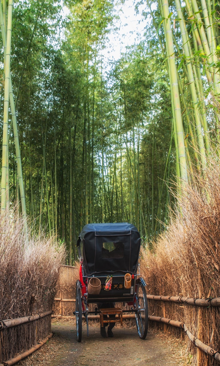 Arashiyama Rickshaw Rde Rickshaw Ride in Arashiyama, Kyoto - Trip To Japan - Trip To Japan