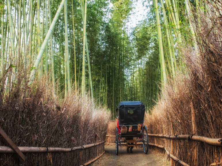 嵐山のリクシャー乗り物、京都