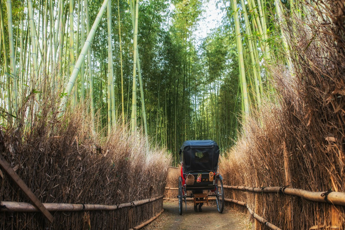 Rickshaw Ride in Arashiyama, Kyoto - Trip To Japan - Trip To Japan