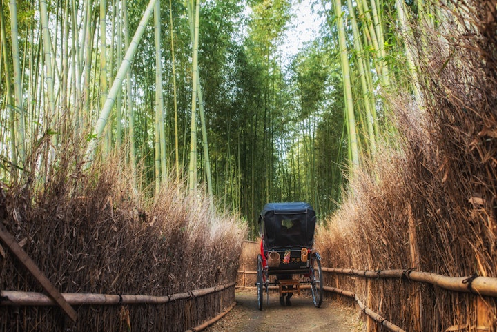 교토 아라시야마 인력거 타기