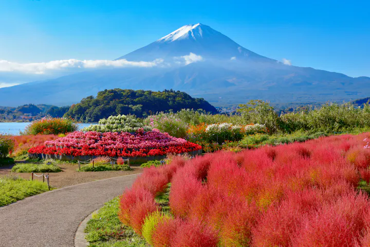 Oishi Park