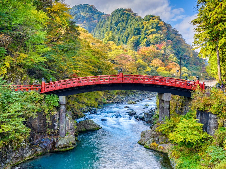 Full-Day Private Tour to Nikko Shrines and Ashikaga Flowers Park