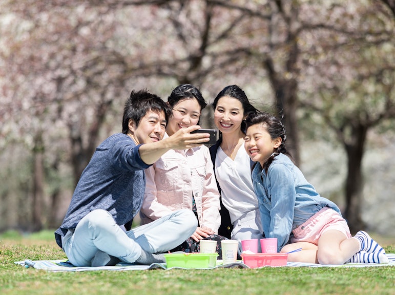 독점 히로시마 벚꽃과 사쿠라 몰입 경험