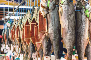 Several whole fish are hanging vertically by their tails with tags attached, likely at a market. Some fish are split open, displaying their insides, while others remain whole. The background is slightly blurred.